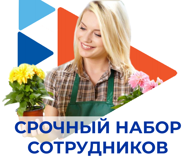 12.png